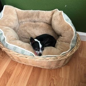 Meet your Posher, Olga